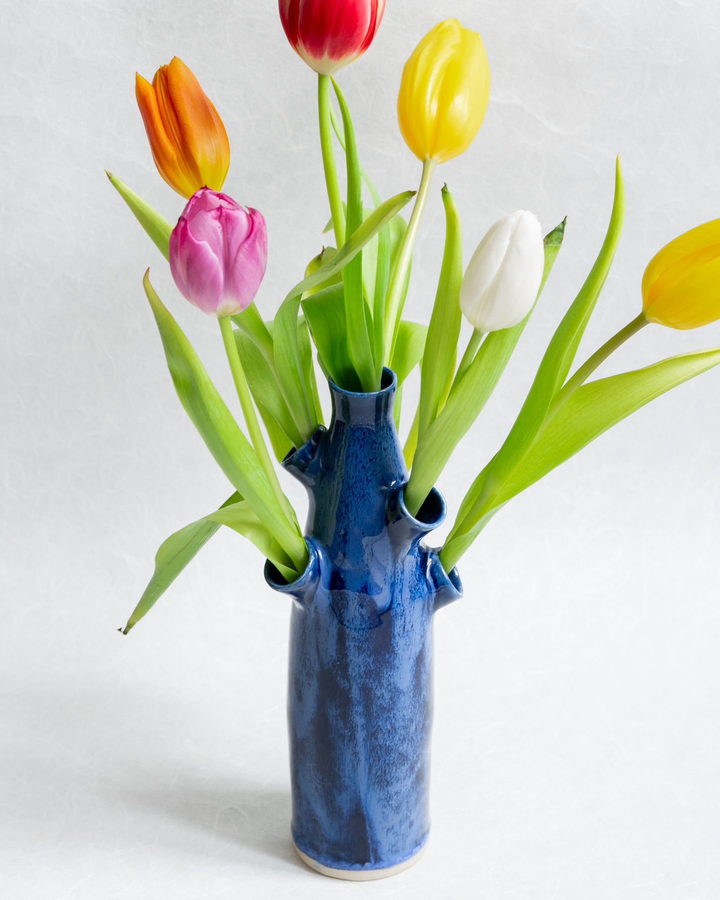 Tulipière Cascade