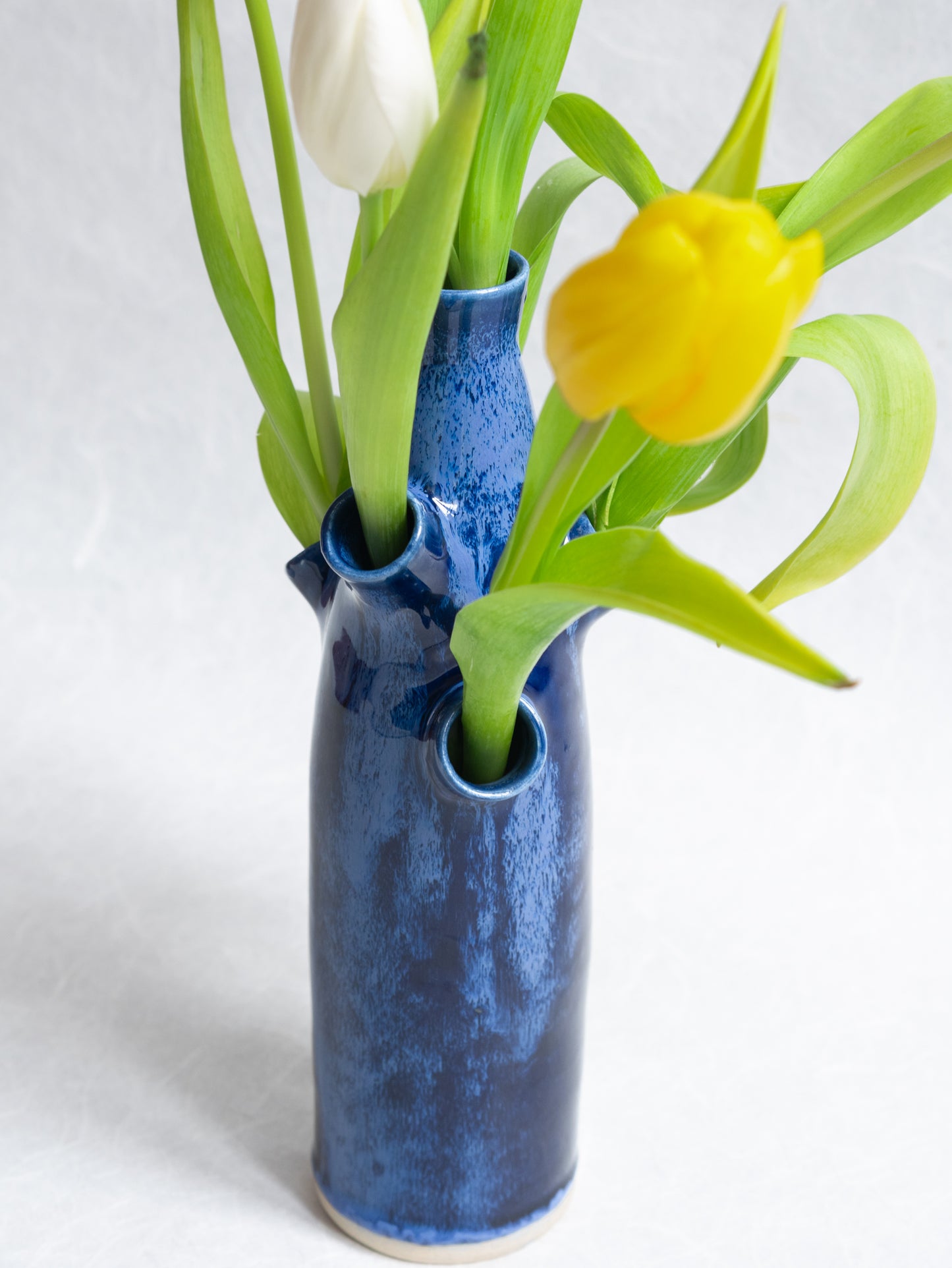 Tulipière Cascade