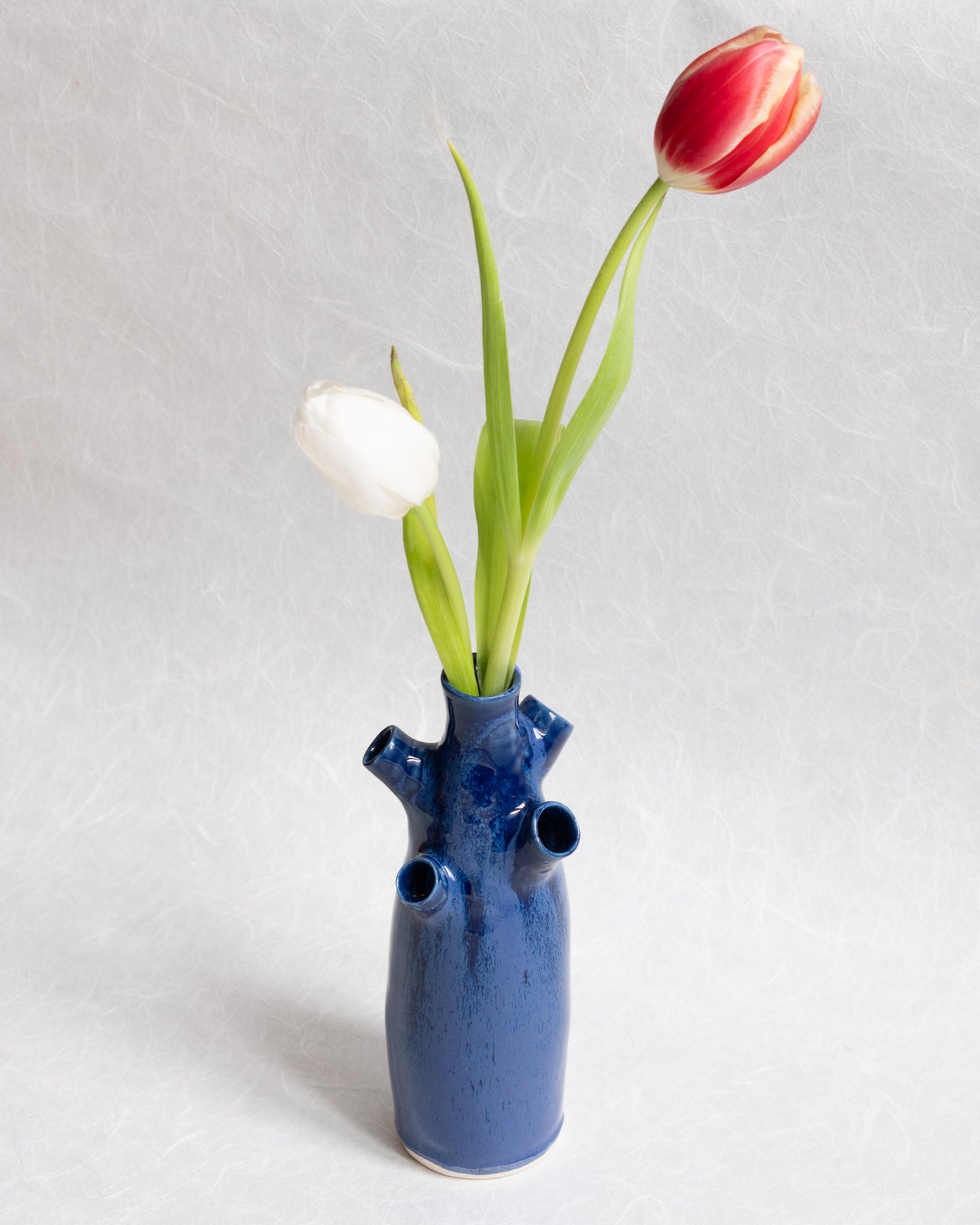 Tulipière Cascade