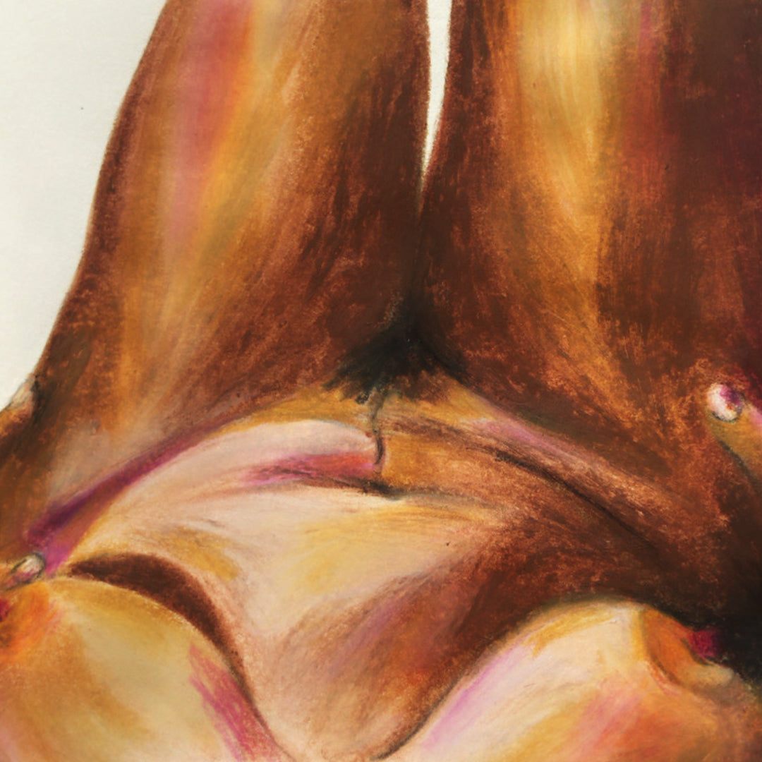 ILLUSTRATIONS - FEMMES