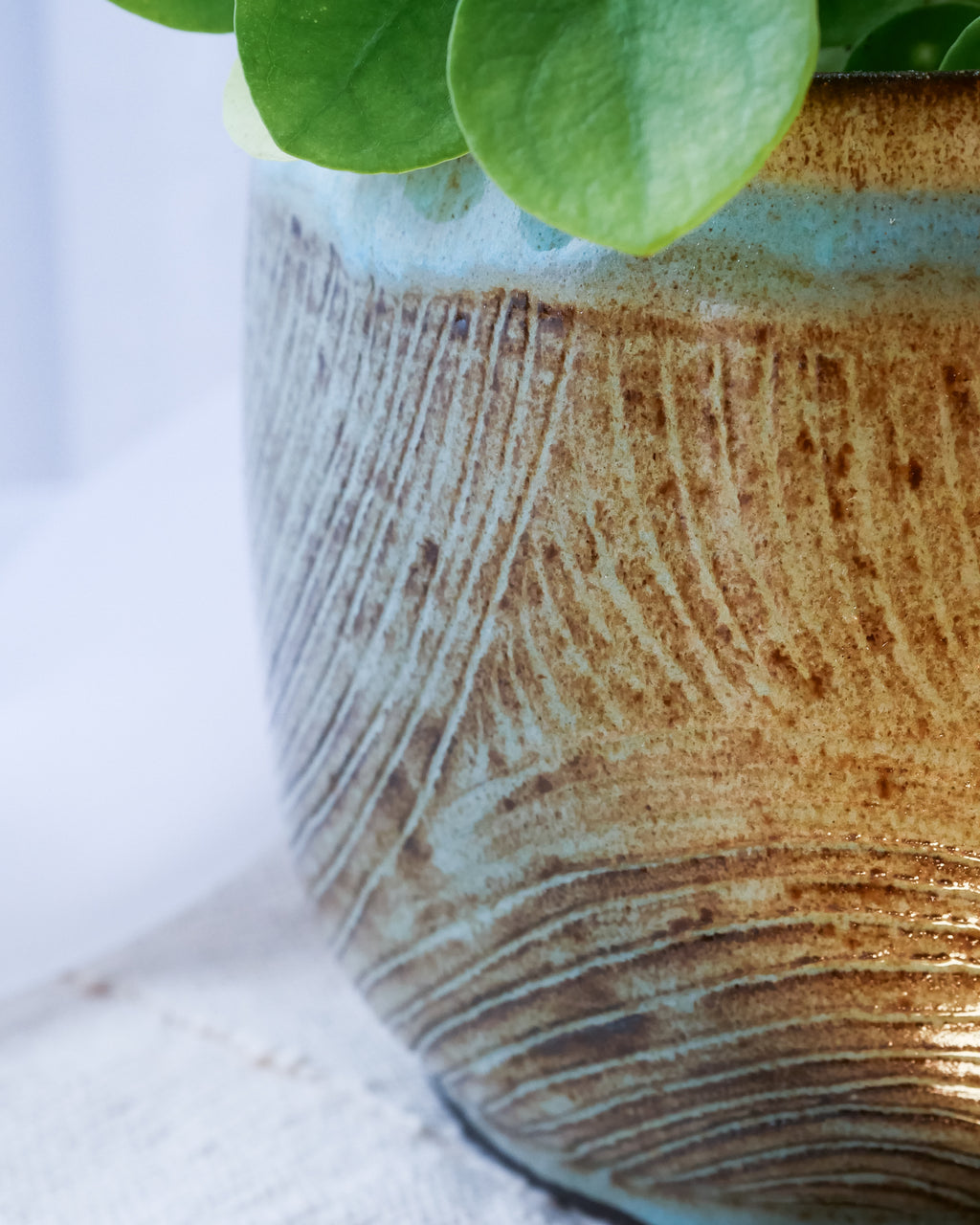 Cache Pot Traçage L