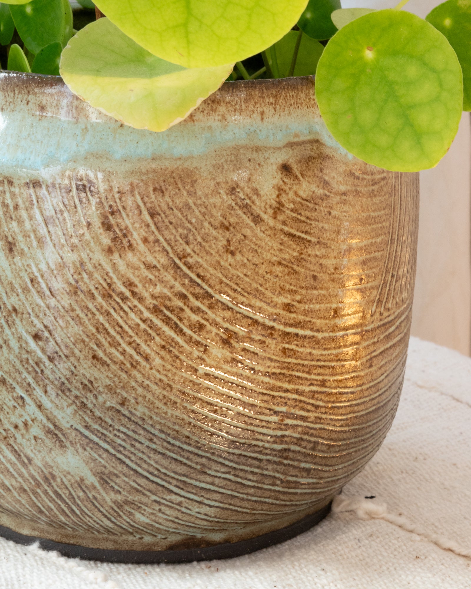 Cache Pot Traçage L