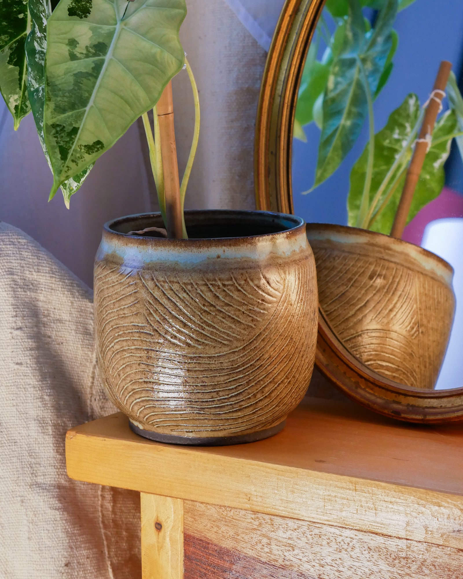 Cache Pot Traçage M