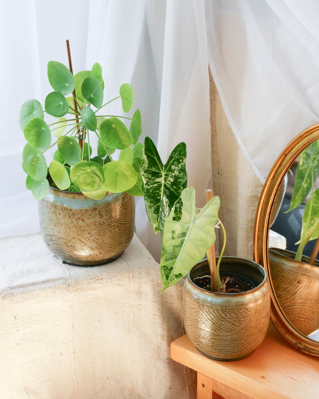 Cache Pot Traçage M