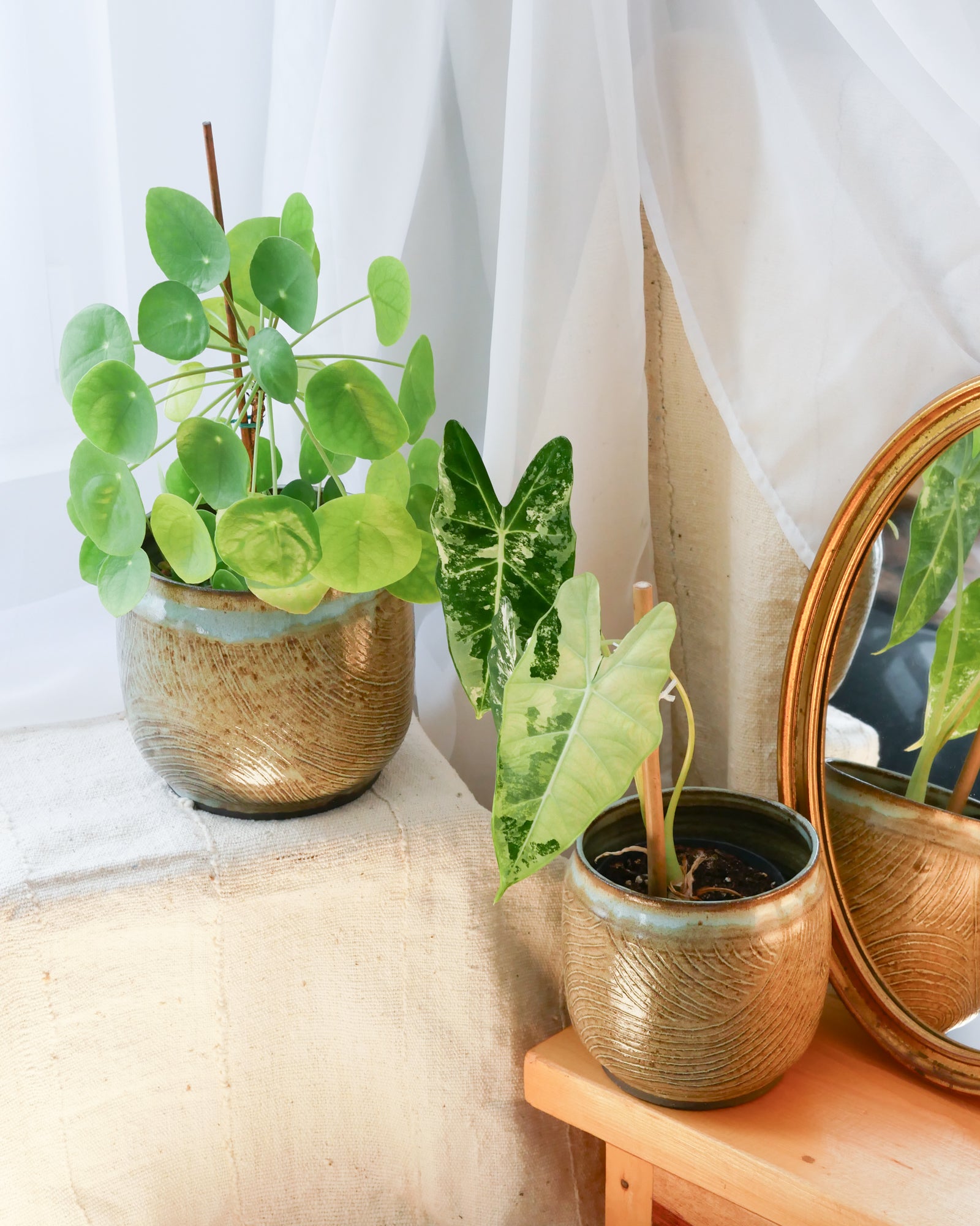 Cache Pot Traçage M