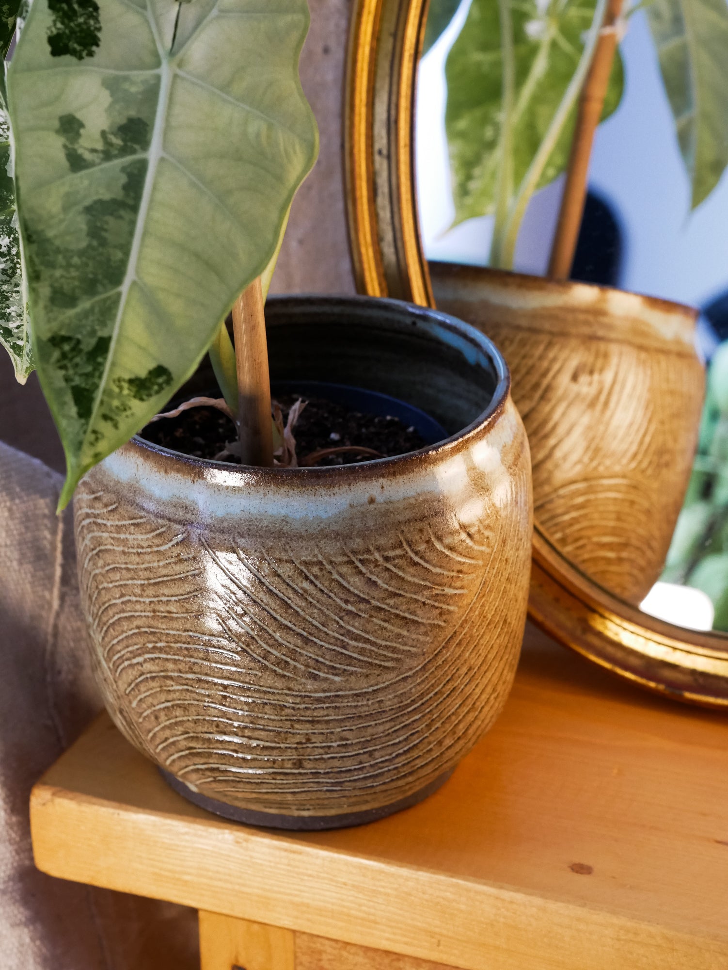 Cache Pot Traçage M