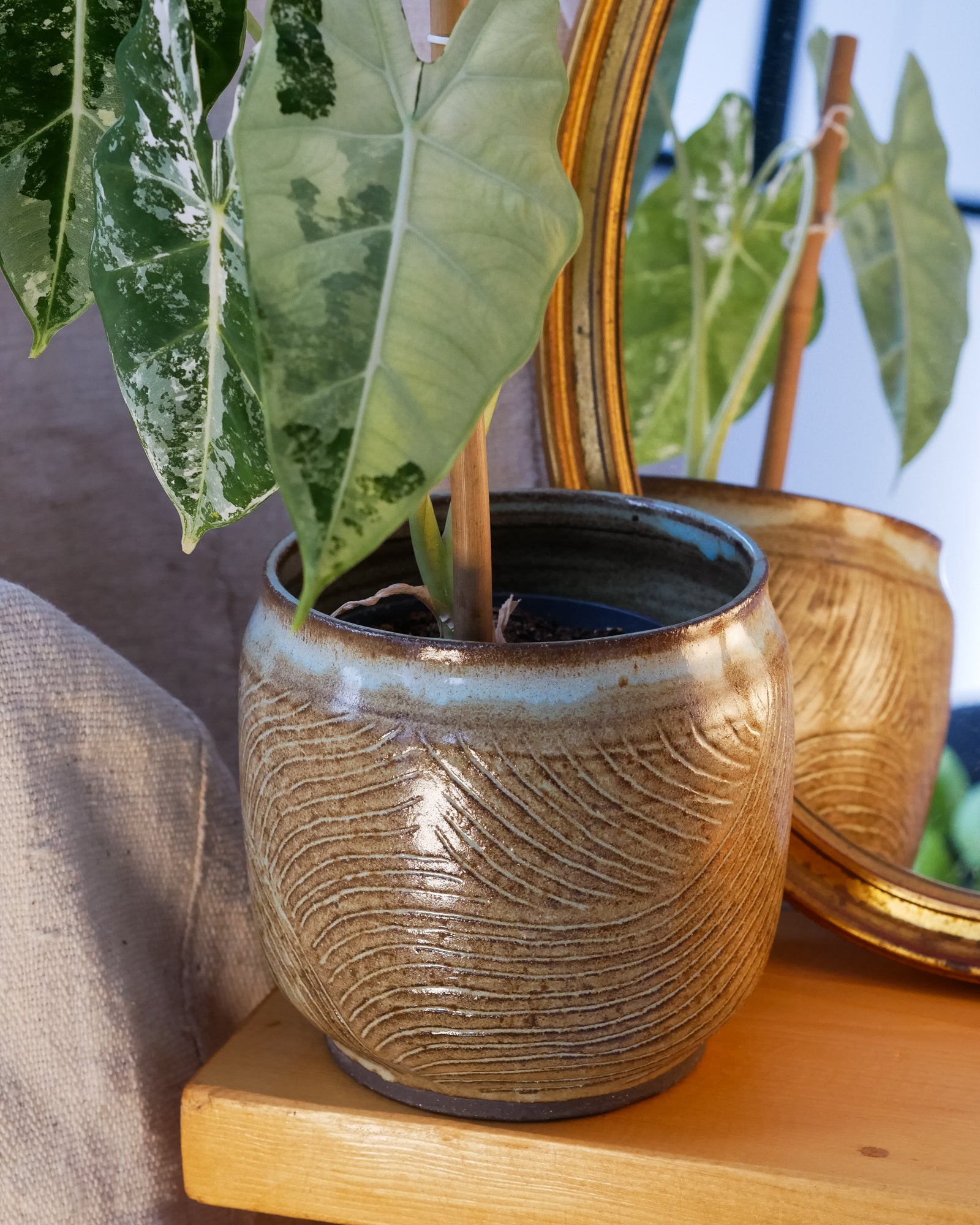 Cache Pot Traçage M